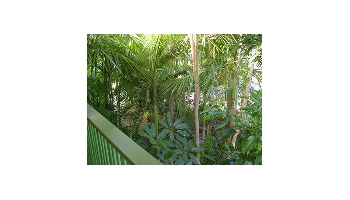 Hotel A Tropical Nite poza 6