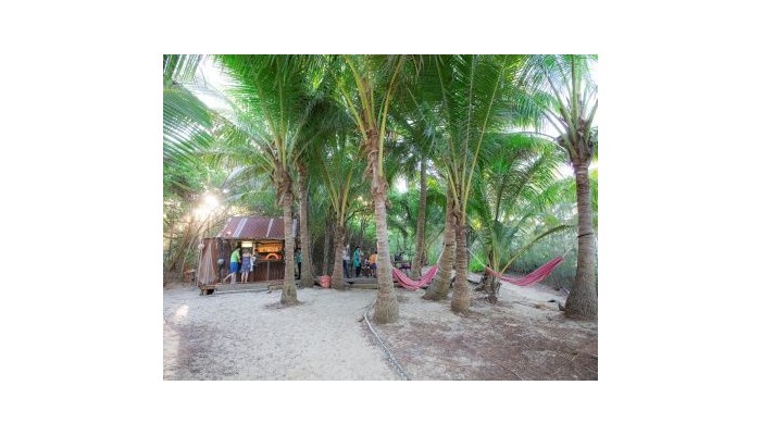 Hotel Thala Beach Nature Rsv poza 6