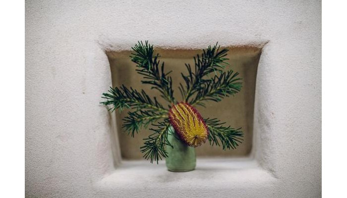 Hotel Aiyana Retreat poza 3