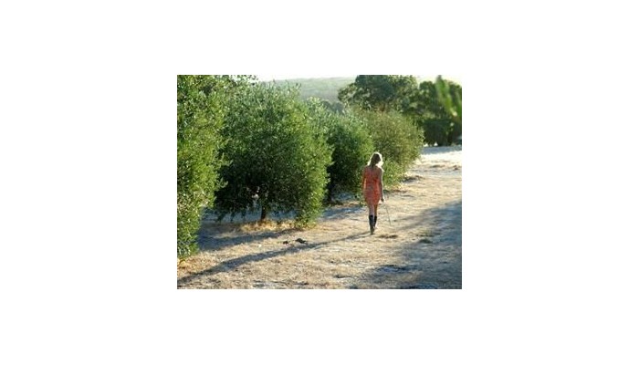 Hotel Empire Spa Retreat poza 3